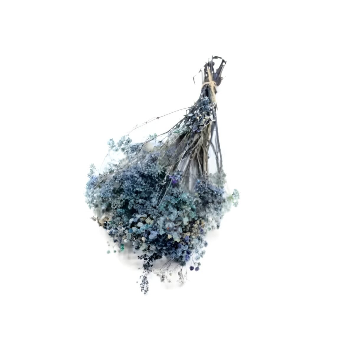 PRESERVED GYPSOPHILA – Image 3