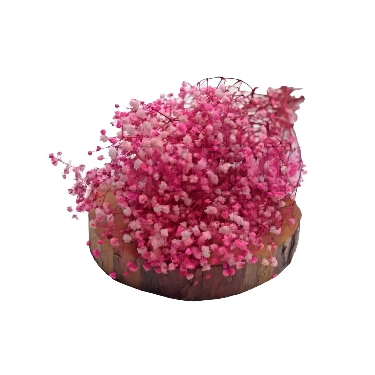 PRESERVED GYPSOPHILA – Image 2
