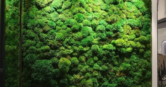 Mur Vegetal